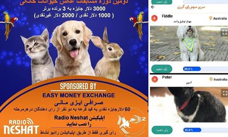 آغاز سری چهارم رای گیری/ FIDDLE و PETER در مرحله سوم رای گیری به فینال دومین دوره مسابقه عکس حیوانات خانگی رادیو نشاط راه پیدا کردند.