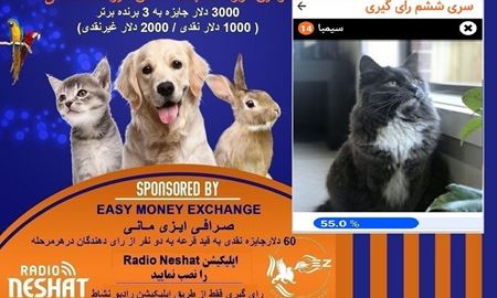 آغاز سری هفتم رای گیری/ سیمبا در مرحله ششم رای گیری به فینال دومین دوره مسابقه عکس حیوانات خانگی رادیو نشاط راه پیدا کرد.
