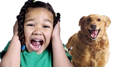 زوفوبیا(Zoophobia) یعنی چه؟ آیا از حیوانات می‌ترسید؟ 