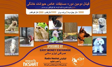 آغاز فینال دومین دوره مسابقه عکس حیوانات خانگی رادیو نشاط 