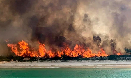 هفته‌ها تلاش بی‌فرجام؛ نیمی از جزیره فریزر استرالیا طعمه آتش شد
