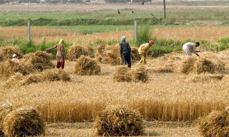 پیش‌بینی خشکسالی در افغانستان