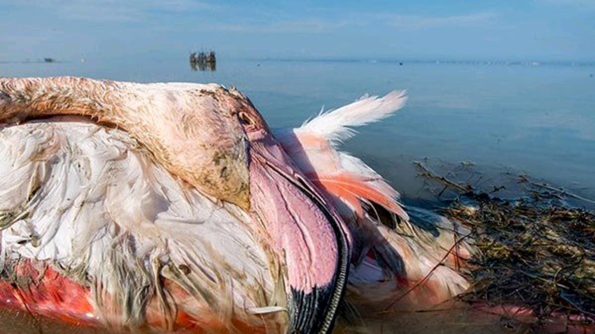 media.news.imagealternatetextformat.details