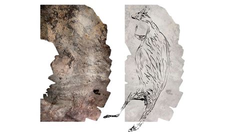 کشف سنگ نگاره ۱۷ هزار ساله یک کانگورو در استرالیا