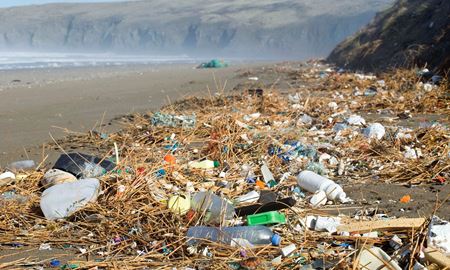 پلاستیک‌های ریز در سواحل؛ زنگ خطری برای موجودات دریایی
