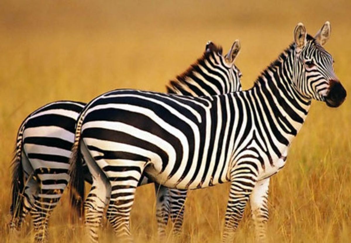 media.news.imagealternatetextformat.details