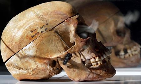 آلمان ارتکاب نسل‌کشی در نامیبیا را پذیرفت