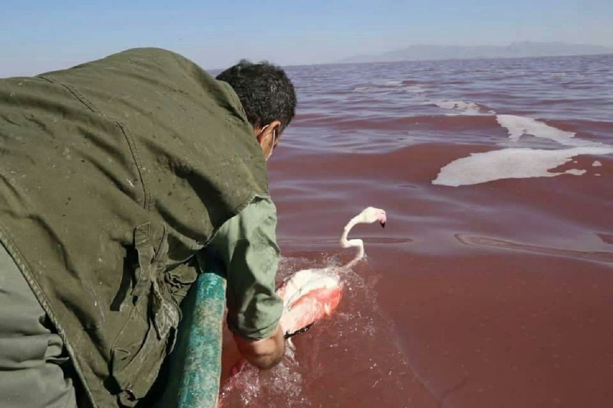 media.news.imagealternatetextformat.details