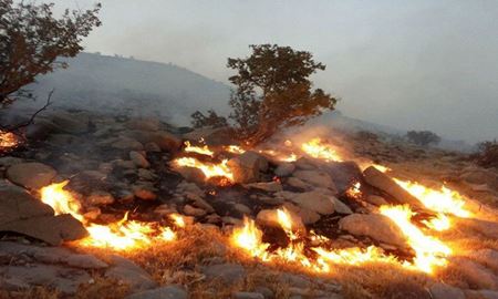 جنگل‌های نارک ایران همچنان در شعله‌های آتش می‌سوزد