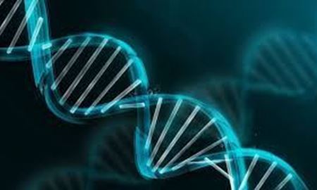 تنها 7 درصد از DNA ما منحصر به انسان مدرن است