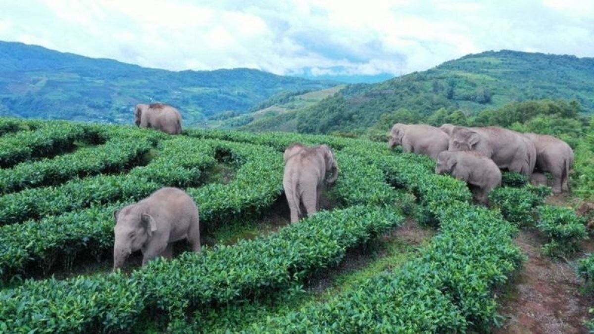 media.news.imagealternatetextformat.details