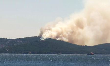 آتش گریبان جنگل‌های «کاج» ترکیه را گرفت