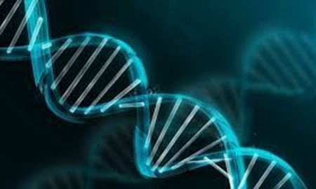 انسان‌های مدرن با درصد کمی ازDNA منحصر به گونه انسان