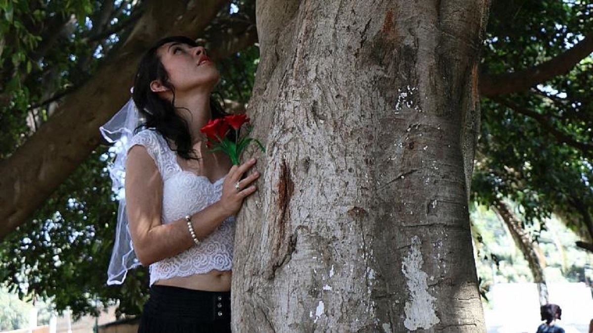 media.news.imagealternatetextformat.details