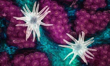 استرالیایی ها در مسابقه عکاسی جهان کوچک ۲۰۲۱ نیکون دوم شدند