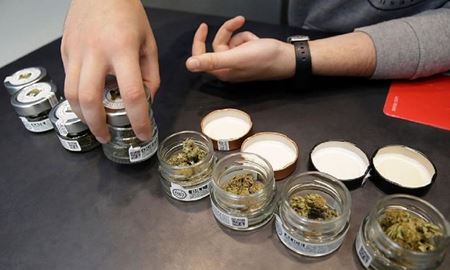 همه‌پرسی برای جرم‌زدایی از مصرف حشیش در ایتالیا