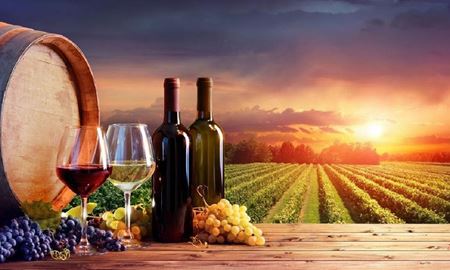 بهترین تاکستان‌ها و تولیدکننده‌های شراب در کدام کشورها هستند؟