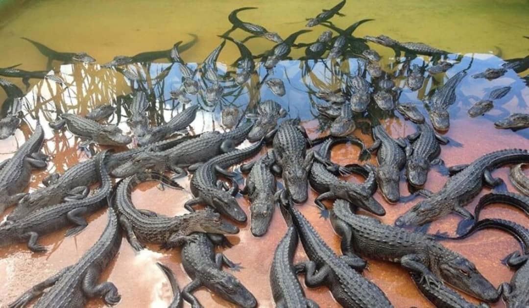 media.news.imagealternatetextformat.details