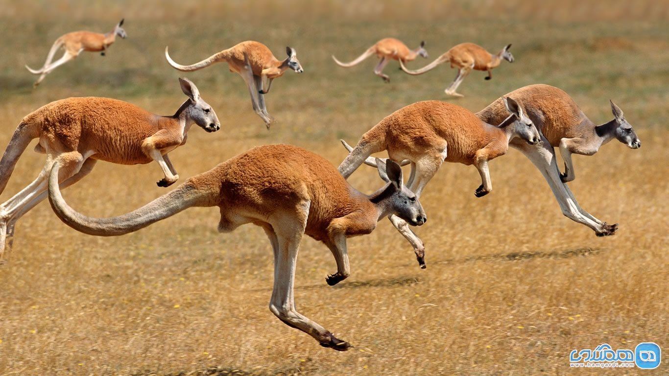 media.news.imagealternatetextformat.details