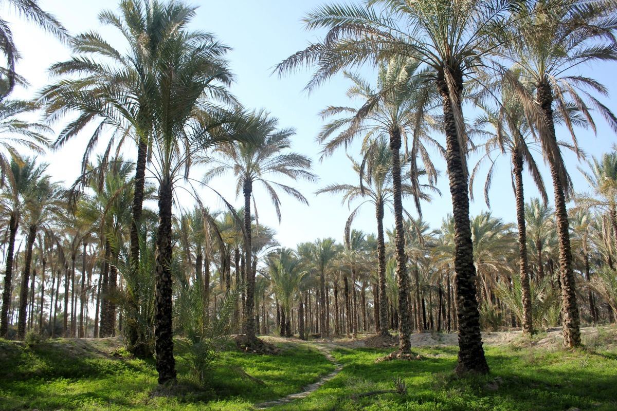 media.news.imagealternatetextformat.details