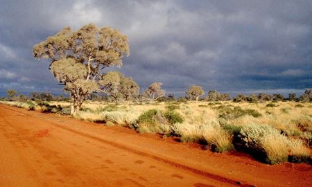 پیش‌بینی موج گرمای شدید در کیمبرلی و پیلبارا در استرالیای‌غربی
