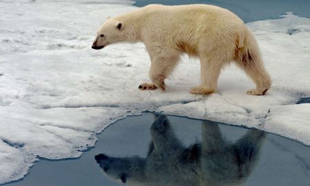 تغییرات آب‌وهوایی و گرم شدن بی‌سابقه قطب شمال