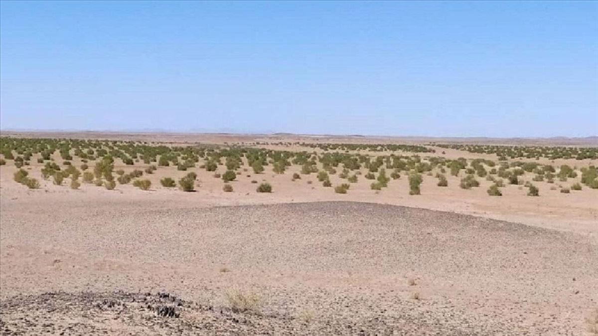 media.news.imagealternatetextformat.details