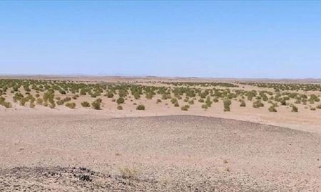 نابودی تمام جنگل‌های ایران تا 50 سال آینده