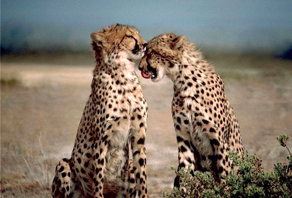 media.news.imagealternatetextformat.details