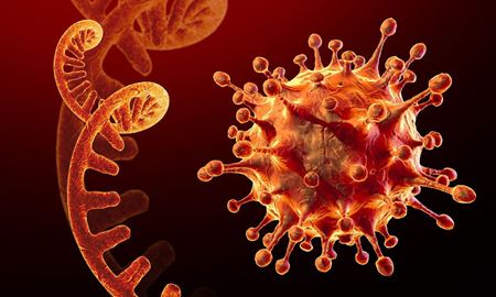 تا پایان کرونا راه طولانی در پیش است