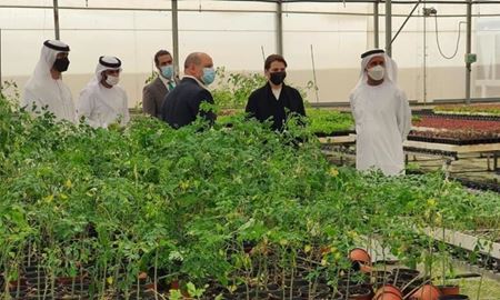 همکاری امارات، اردن و هلند برای تولید میوه در بیابان