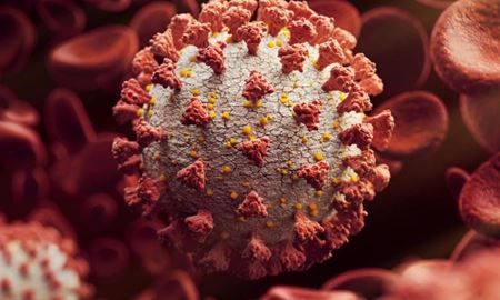 شیوع ویروس کووید-19 در استرالیا 2 ساله شد