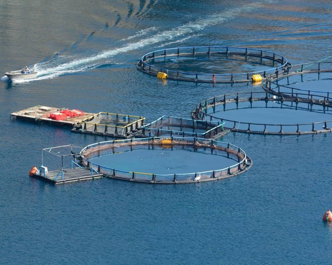 media.news.imagealternatetextformat.details