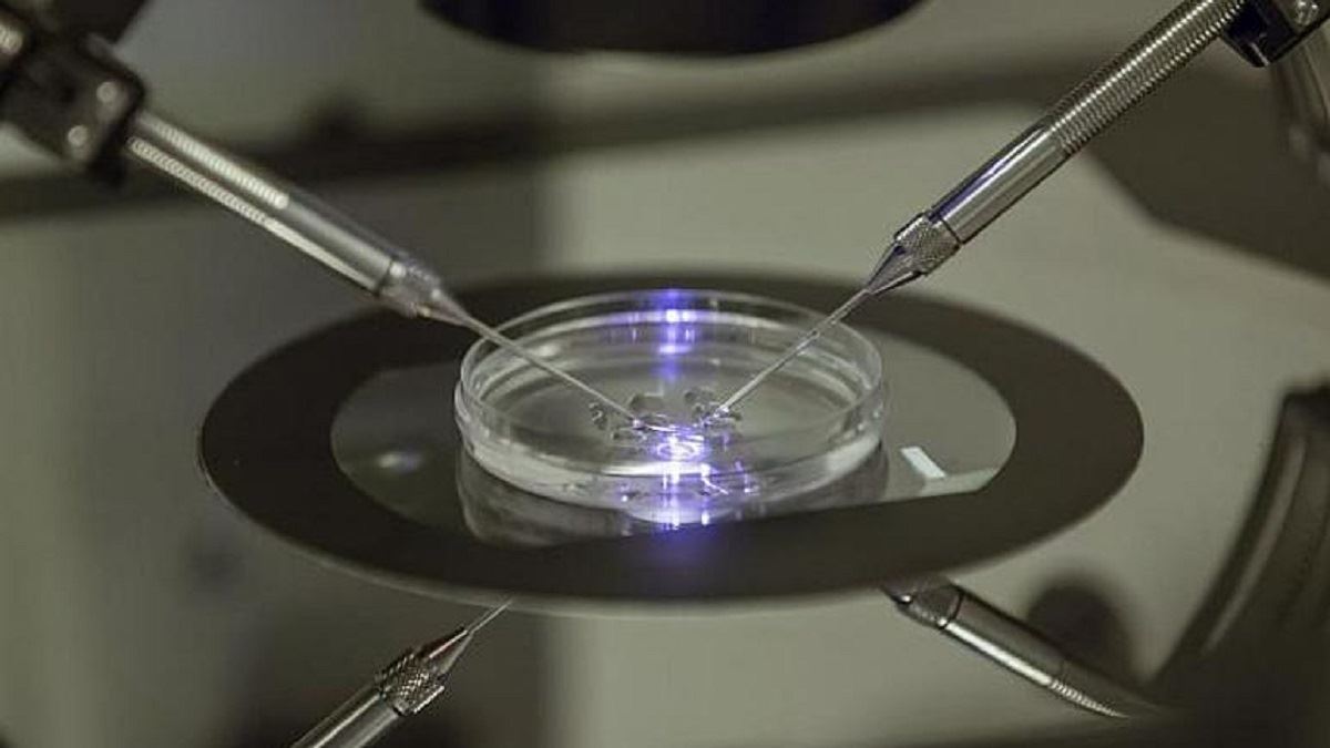 media.news.imagealternatetextformat.details