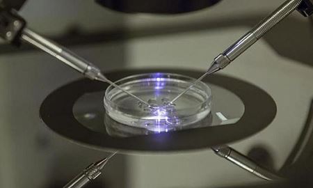 رسوایی پزشک هلندی برای استفاده از اسپرم خود در 21 مورد لقاح مصنوعی