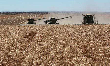 برنامه فدراسیون کشاورزی استرالیا برای کار جوانان در حومه شهرها