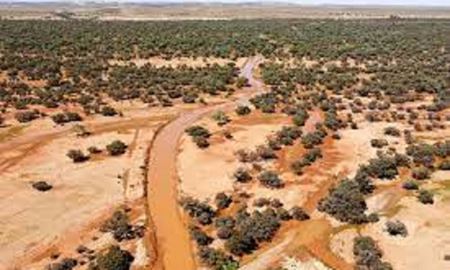 بیابان‌های استرالیای جنوبی بعد از سیلاب جان دوباره گرفتند