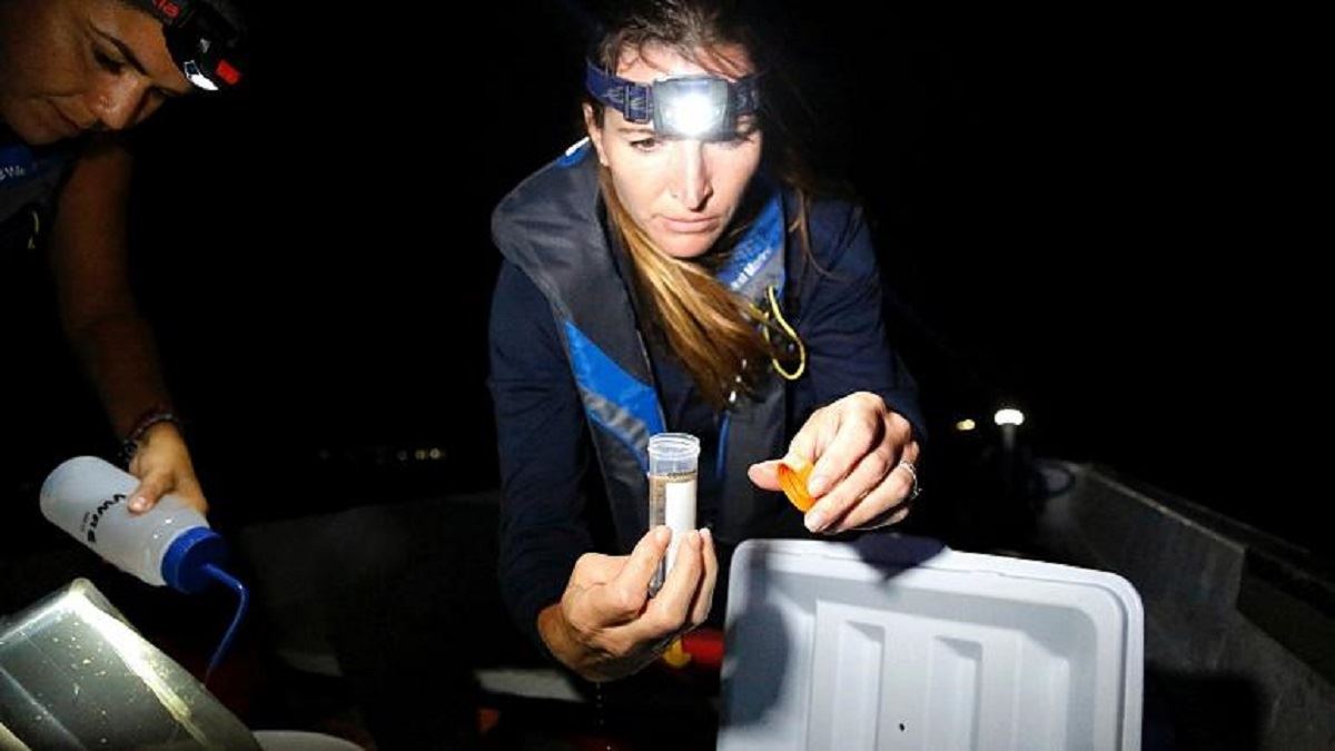 media.news.imagealternatetextformat.details