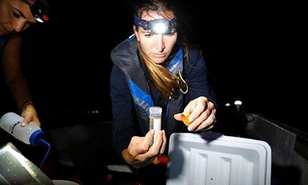 افزایش تعداد دانشمندان و مهندسان زن در اتحادیه اروپا