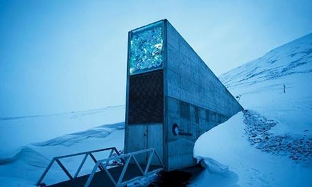 ذخایر جدید به خزانه بذر روز قیامت وارد می‌شوند