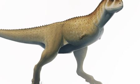 کشف جمجمه گونه‌ای نامعمول از دایناسورها