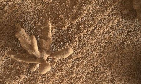 کشف شی عجیب در سطح مریخ توسط کاوشگر کنجکاوی