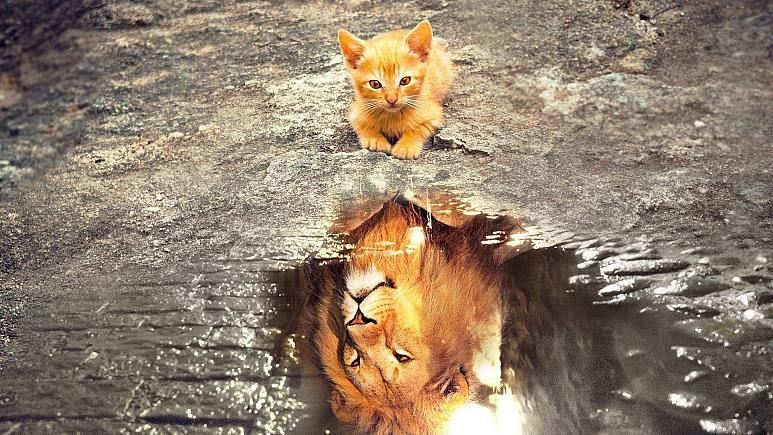 media.news.imagealternatetextformat.details