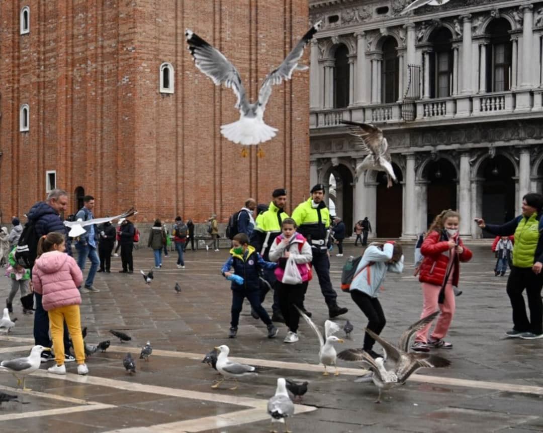 media.news.imagealternatetextformat.details