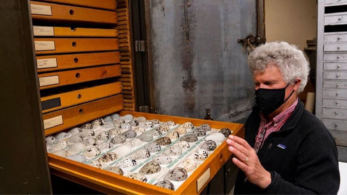 media.news.imagealternatetextformat.details