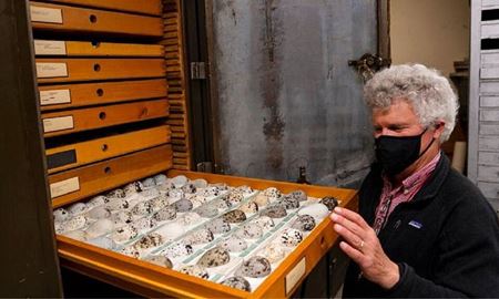 تاثیر تغییرات آب‌وهوایی بر تغییر زمان تخم‌گذاری پرندگان