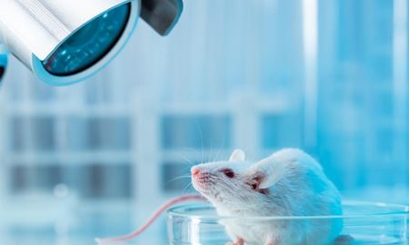 کشف ژنی در موش‌ها که به بازیابی شنوایی کمک می‌کند