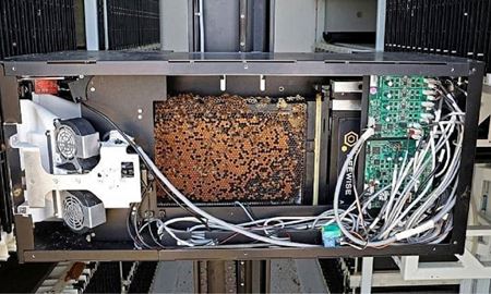تولید عسل با هوش مصنوعی در اسرائیل