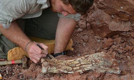 کشف فسیل اژدهای مرگ با بیش از ۲۰ میلیون سال قدمت
