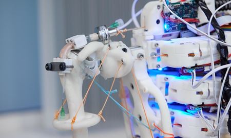 استفاده از ربات‌های انسان‌نما برای رشد بافت تاندون